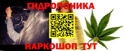 шишки Берёзовский