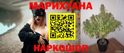 шишки Берёзовский