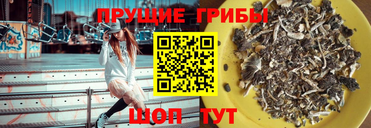 Галлюциногенные грибы Magic Shrooms Ипатово